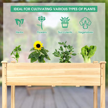 Load image into Gallery viewer, Wood Raised Garden Bed Vegetable Flower Planter with Legs
