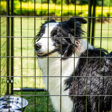 Load image into Gallery viewer, Outdoor Heavy Duty Welded Wire Dog Kennel with UV Protection,Waterproof Trap Cover,Automatic Lock ,Rotatable Window
